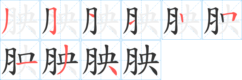 胦的筆順筆畫(huà)