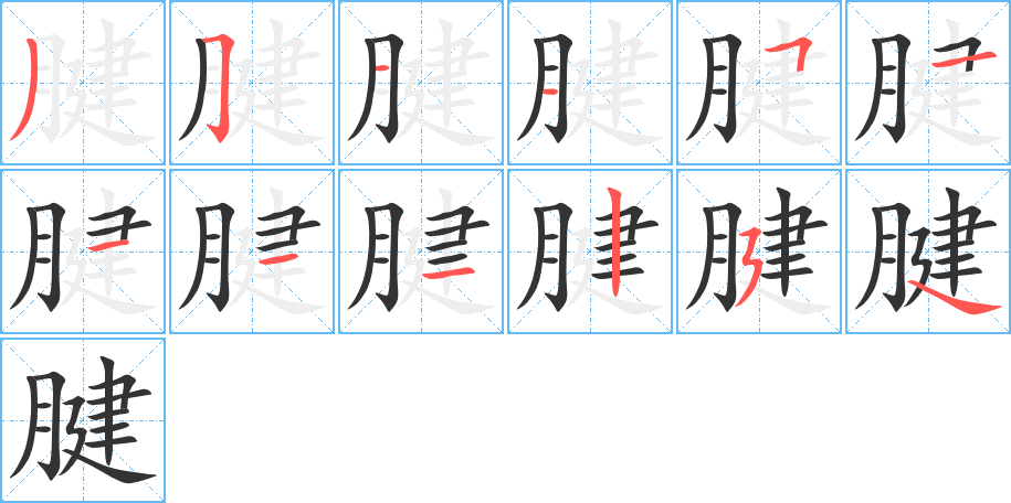 腱的筆順筆畫