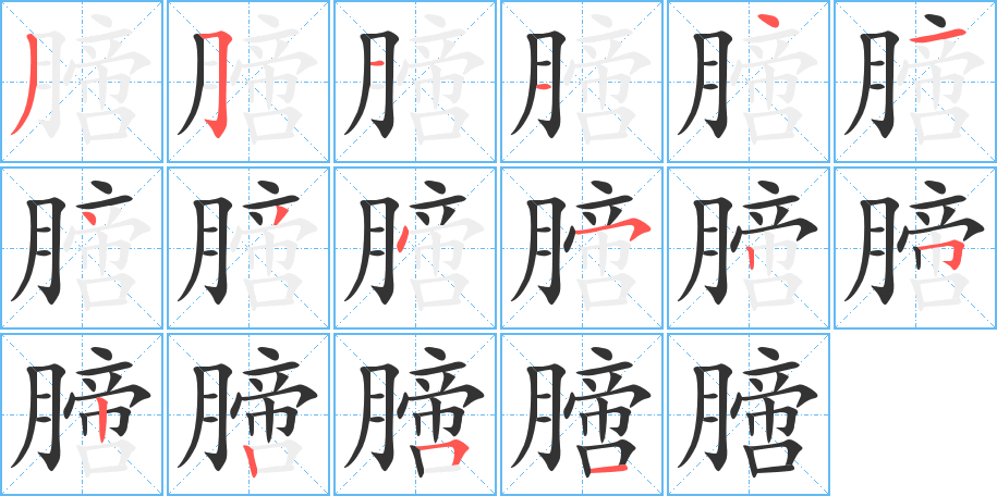 膪的筆順筆畫(huà)