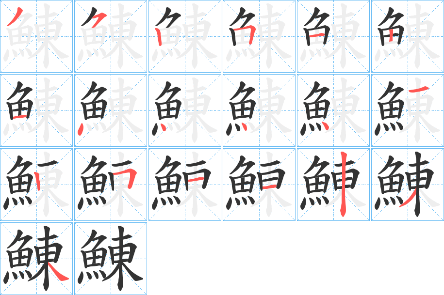 鯟的筆順筆畫